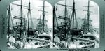 Scheda 2. Shipping in the harbor. Palermo. Sicily