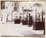Scheda Palermo - Museo Nazionale