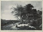 Scheda N. 19925 Palermo - Collezione Chiaramonte Bordonaro. Paese con figure (Jacob Ruysdael) (Ed.ne Alinari)