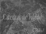 Scheda Famiglia Tedesco - bobina 20