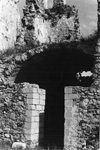 Scheda Bagheria - Torre Amalfitano
