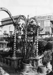 Scheda Bagheria - Villa Cirrincione - Particolare del giardino