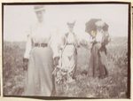 Scheda Selinunte - Campagna di scavi 1896