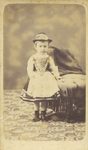 Scheda Bambina