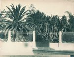 Scheda N. 1218 Palermo - Villa Hôtel des Palmes (Ed.ne E. Melendez - Palermo)