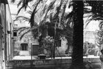 Scheda Bagheria - Villa Coglitore - Esterno