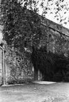Scheda Bronte - Abbazia Maniace - Veduta laterale