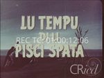 Scheda Lu tempu di lu pisci spata