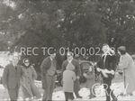Scheda Famiglia Denaro - bobina 28