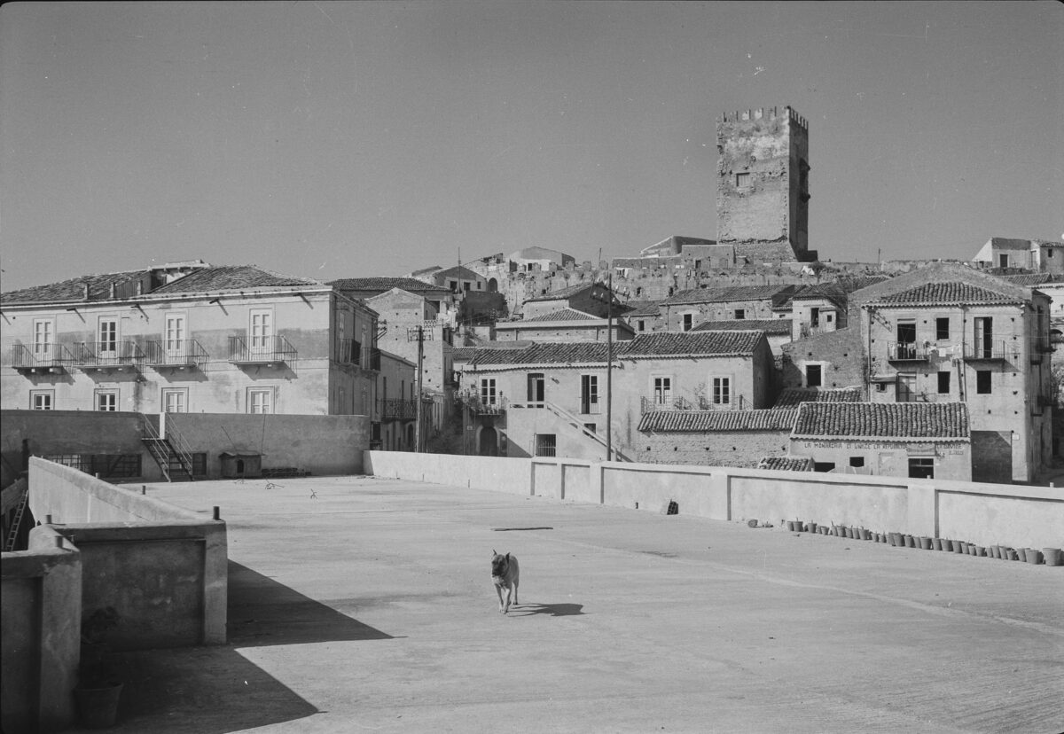 Nessun titolo