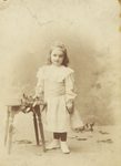 Scheda Bambina