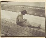 Scheda Pescatore