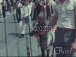 Scheda Famiglia Arena - bobina 75