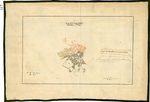 Scheda Castiglione