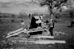 Scheda CT - Ente di Colonizzazione - Azienda Bronte - Legno per la botte