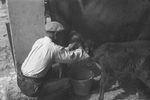Scheda Enna - Ente di Colonizzazione - Bevai e Case coloniche