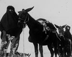 Scheda Messina - Ente di colonizzazione - Vecchi campieri