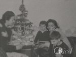 Scheda Famiglia Arena - bobina 54