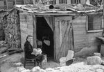 Scheda Questa Sicilia - Prima inchiesta sulle abitazioni - Baraccopoli