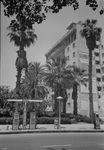 Scheda Bonfiglio - Palazzo piazza Alberico Gentili - On. Bresciana