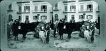 Scheda 24. Pure milk. a milkman of Palermo. Sicily