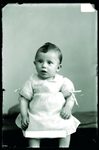 Scheda Bambino