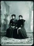 Scheda Donne