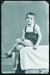 Scheda Bambino