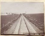 Scheda Selinunte - Campagna di scavi 1896