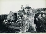 Scheda N. 362 Siracusa - Latomie del Paradiso (G. Incorpora - Palermo)
