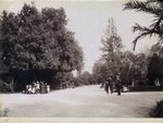 Scheda Palermo - Giardino Inglese - Dettaglio (G. Incorpora)