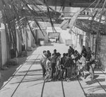 Scheda Chiarezza - Palestra al Trianon
