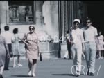 Scheda Famiglia Fiammella - bobina 10