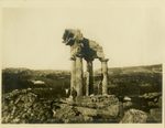 Scheda Girgenti - Avanzi del Tempio di Castore e Polluce