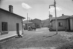 Scheda Ente di Colonizzazione del Latifondo Siciliano - Comune di Mineo - Borgo Lupo - Contrada Mongialino - Veduta particolare da Nord