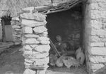 Scheda Ente di Colonizzazione - Caltanissetta - Borgo Gattuso