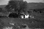 Scheda Ente di colonizzazione - Catania - Azienda Bronte - Casupola di contadini