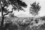Scheda L'Etna - Vista panoramica