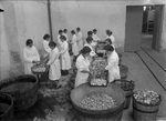 Scheda Chimica Arenella - Cavatura dei limoni a mano