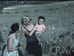 Scheda Famiglia Fiammella - bobina 13
