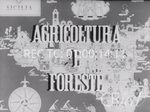 Scheda Documentari - Le realtà siciliane: Agricoltura e foreste
