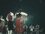Scheda Famiglia Arena - bobina 68