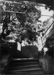 Scheda San Cataldo - Palazzo Nicolò Galletti