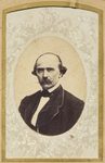 Scheda Uomo