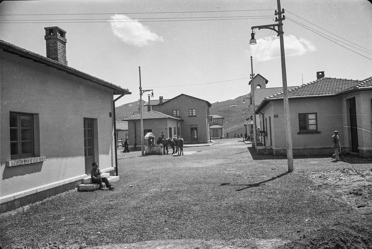 Nessun titolo