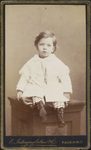 Scheda Bambino