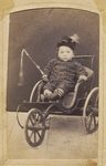 Scheda Bambino