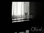 Scheda Famiglia Cuffaro - bobina 23