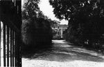 Scheda Bagheria - Villa Gravina di Comitini - Trabia - Viale d'ingresso