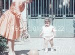 Scheda Famiglia Denaro - bobina 23